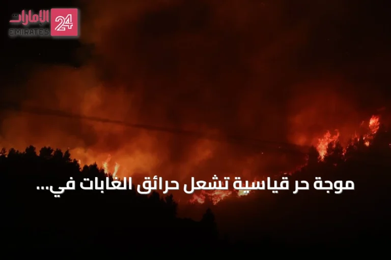موجة حر قياسية تشعل حرائق الغابات في المغرب العربي وتستدعي استجابة عاجلة