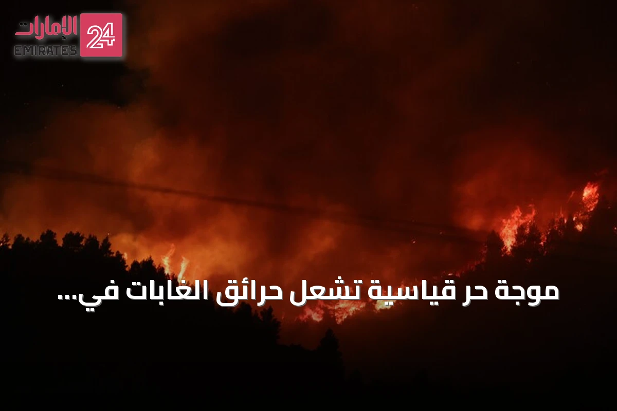 موجة حر قياسية تشعل حرائق الغابات في المغرب العربي وتستدعي استجابة عاجلة
