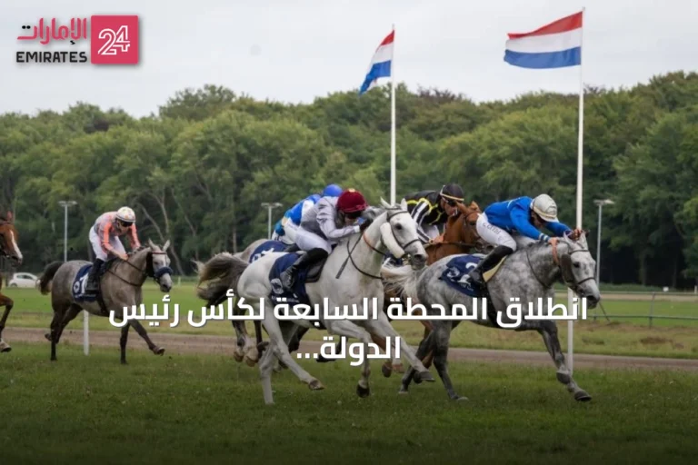 انطلاق المحطة السابعة لكأس رئيس الدولة للخيول العربية في لاهاي