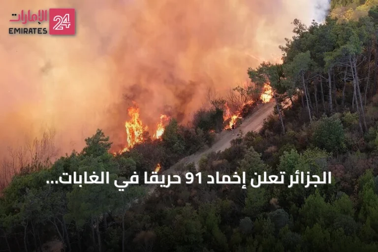 الجزائر تُعلن إخماد 91 حريقًا في الغابات والأراضي الزراعية خلال يوم
