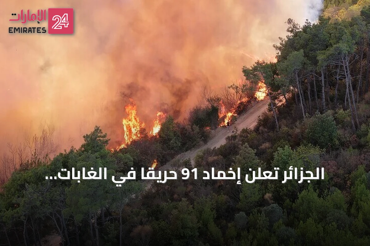 الجزائر تُعلن إخماد 91 حريقًا في الغابات والأراضي الزراعية خلال يوم