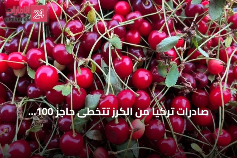 صادرات تركيا من الكرز تتخطى حاجز 100 مليون دولار في نصف السنة