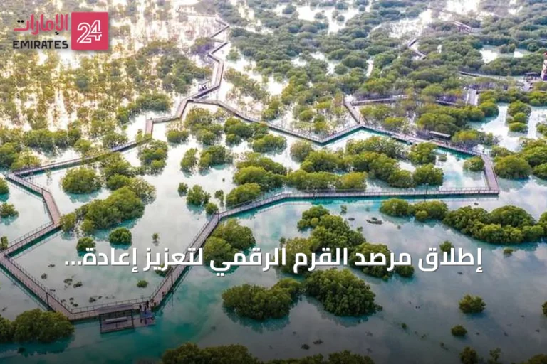 إطلاق مرصد القرم الرقمي لتعزيز إعادة تأهيل الأشجار في أبوظبي