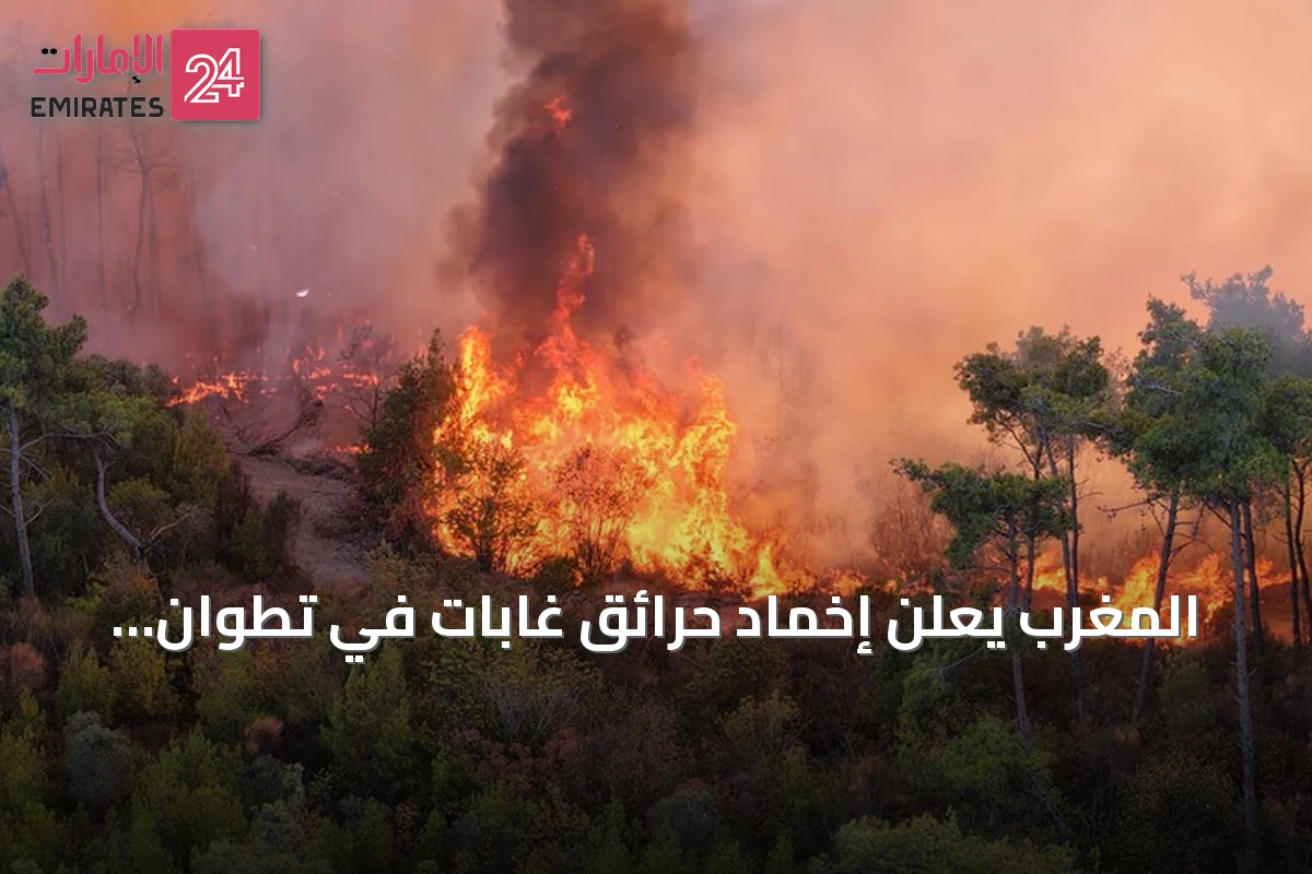 المغرب يعلن إخماد حرائق غابات في تطوان وتارودانت بعد استهلاك 12 هكتاراً