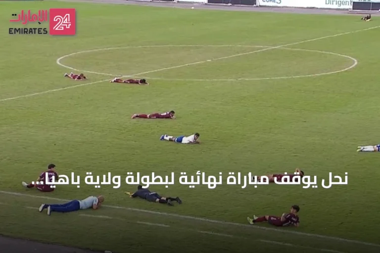 نحل يوقف مباراة نهائية لبطولة ولاية باهيا للشباب
