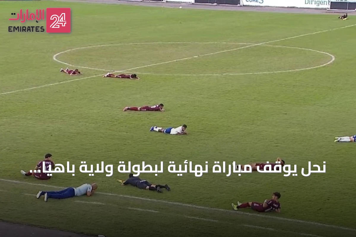 نحل يوقف مباراة نهائية لبطولة ولاية باهيا للشباب