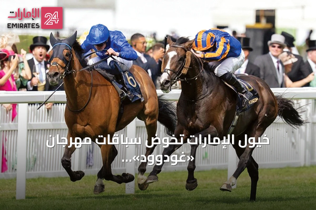 خيول الإمارات تخوض سباقات مهرجان «غودوود» البريطاني اليوم