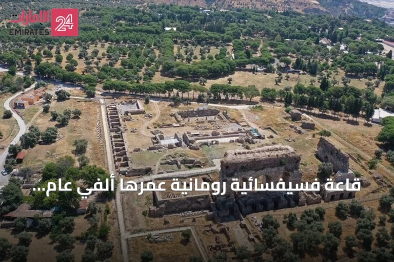 قاعة فسيفسائية رومانية عمرها ألفي عام تُكتشف في تراليس بآيدن