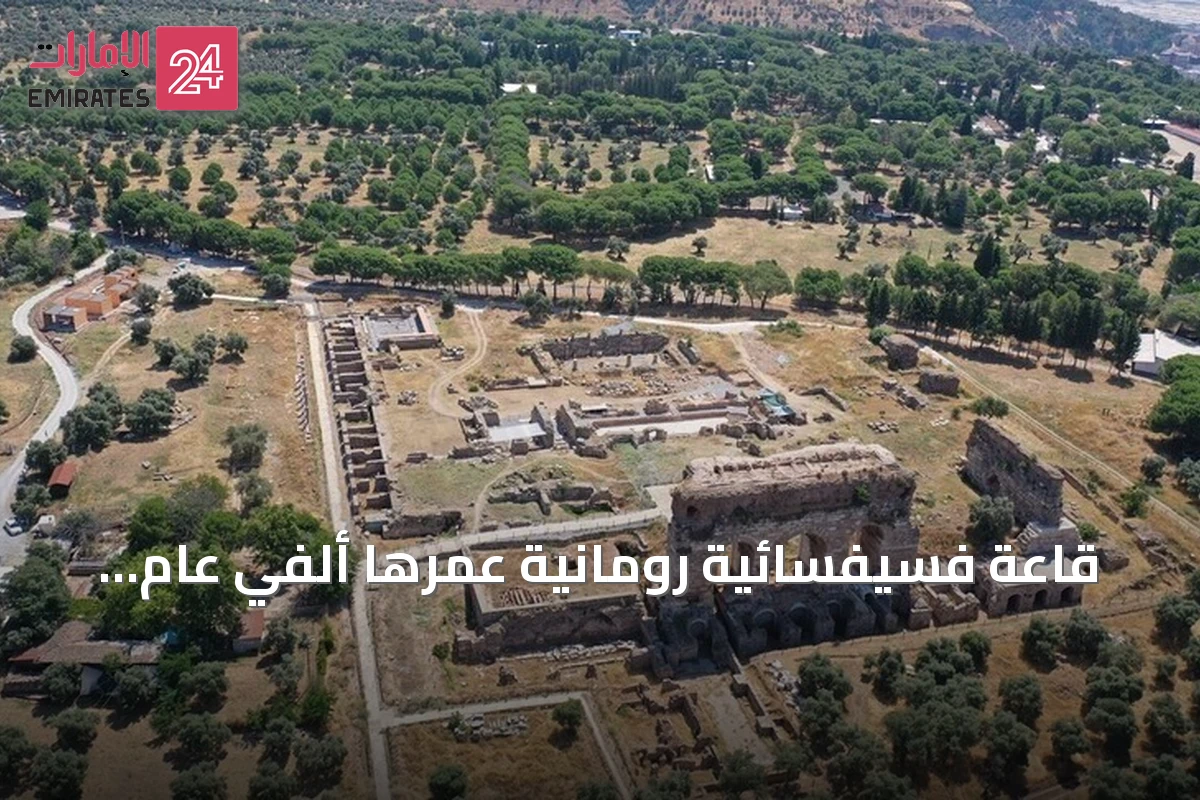قاعة فسيفسائية رومانية عمرها ألفي عام تُكتشف في تراليس بآيدن