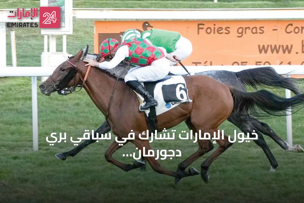 خيول الإمارات تشارك في سباقي بري دجورمان وبري ثاقف بفرنسا