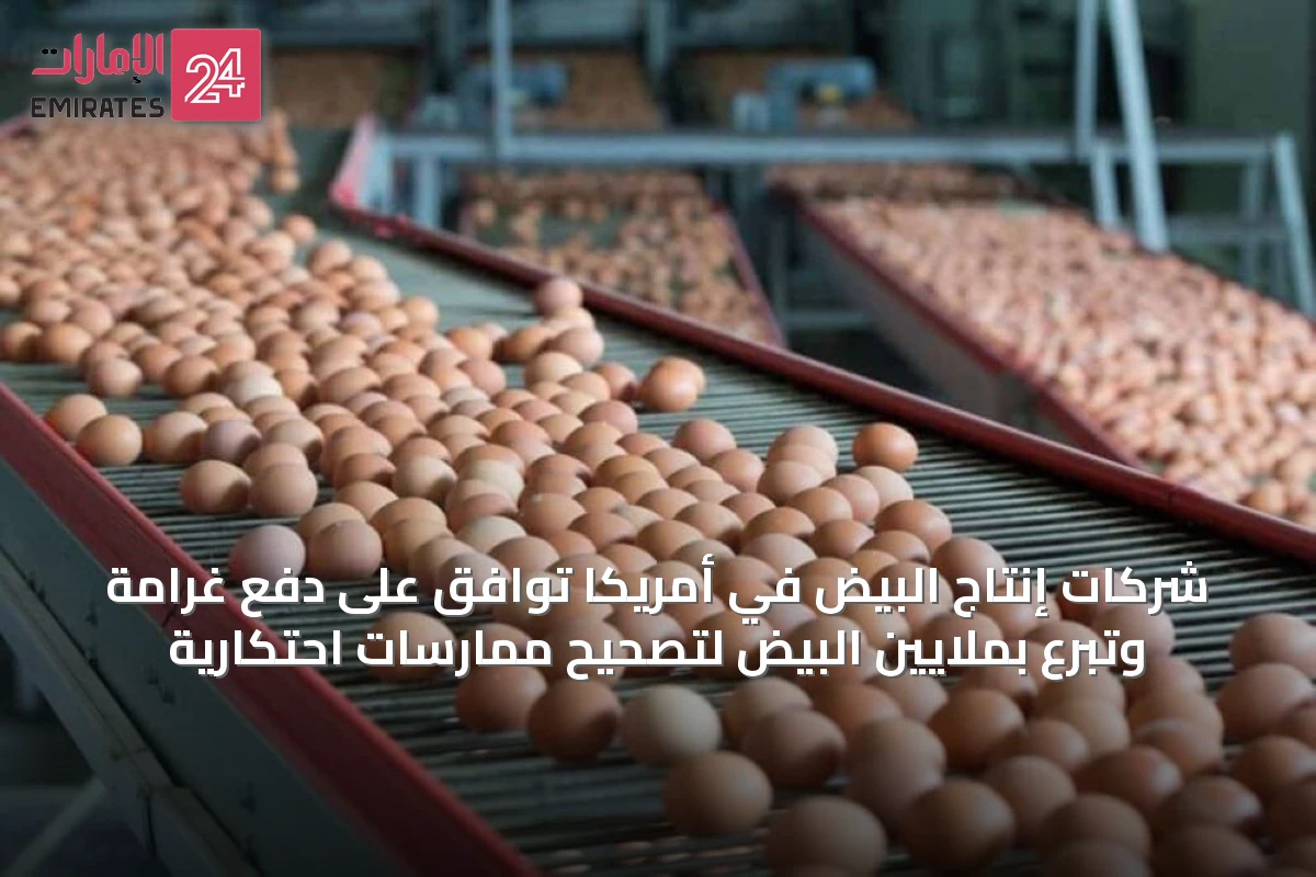 شركات إنتاج البيض في أمريكا توافق على دفع غرامة وتبرع بملايين البيض لتصحيح ممارسات احتكارية