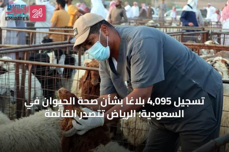 تسجيل 4,095 بلاغاً بشأن صحة الحيوان في السعودية؛ الرياض تتصدر القائمة
