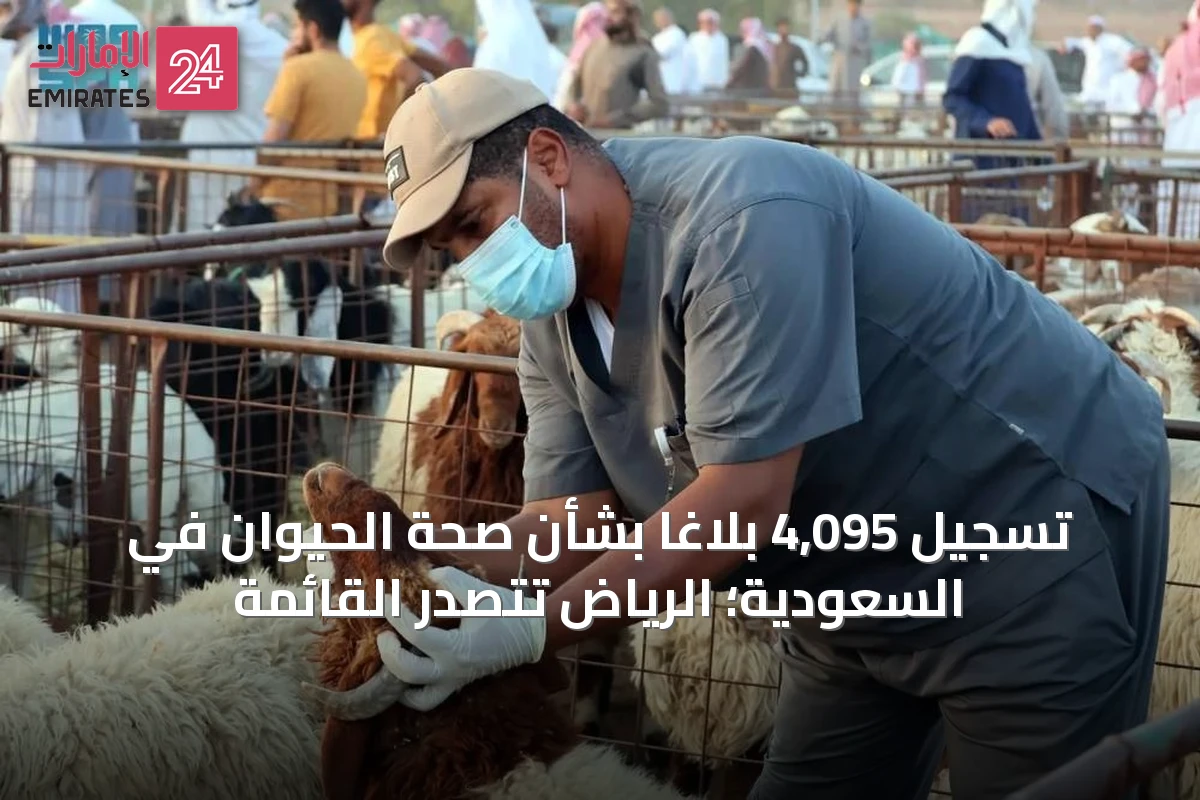 تسجيل 4,095 بلاغاً بشأن صحة الحيوان في السعودية؛ الرياض تتصدر القائمة