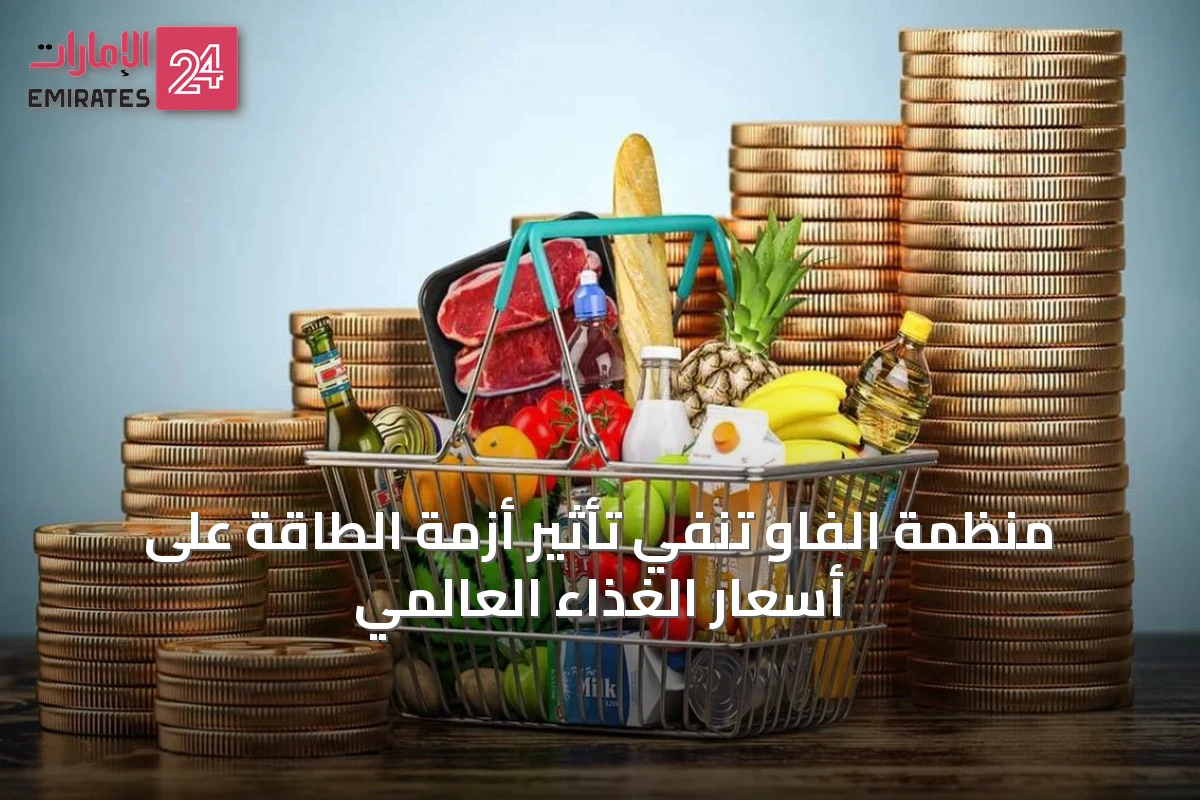 منظمة الفاو تنفي تأثير أزمة الطاقة على أسعار الغذاء العالمي