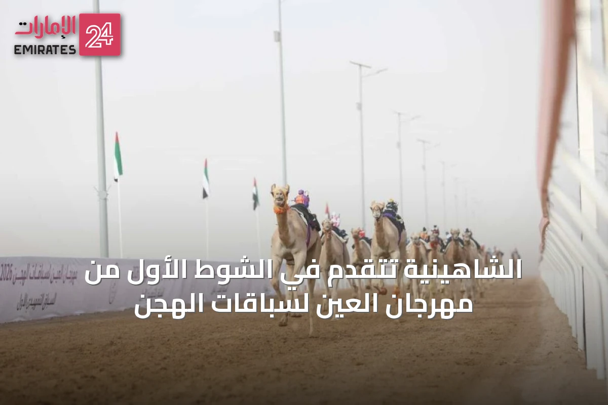 الشاهينية تتقدم في الشوط الأول من مهرجان العين لسباقات الهجن