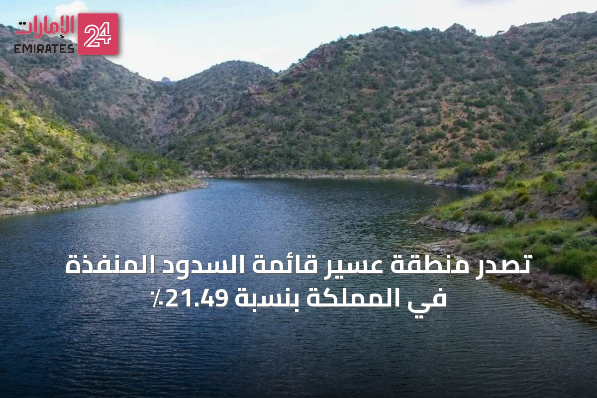 تصدّر منطقة عسير قائمة السدود المنفذة في المملكة بنسبة 21.49٪