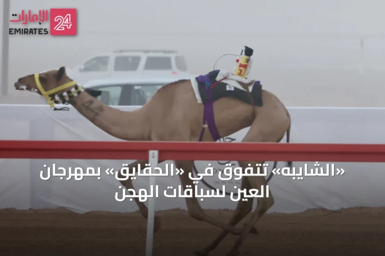 «الشايبه» تتفوق في «الحقايق» بمهرجان العين لسباقات الهجن