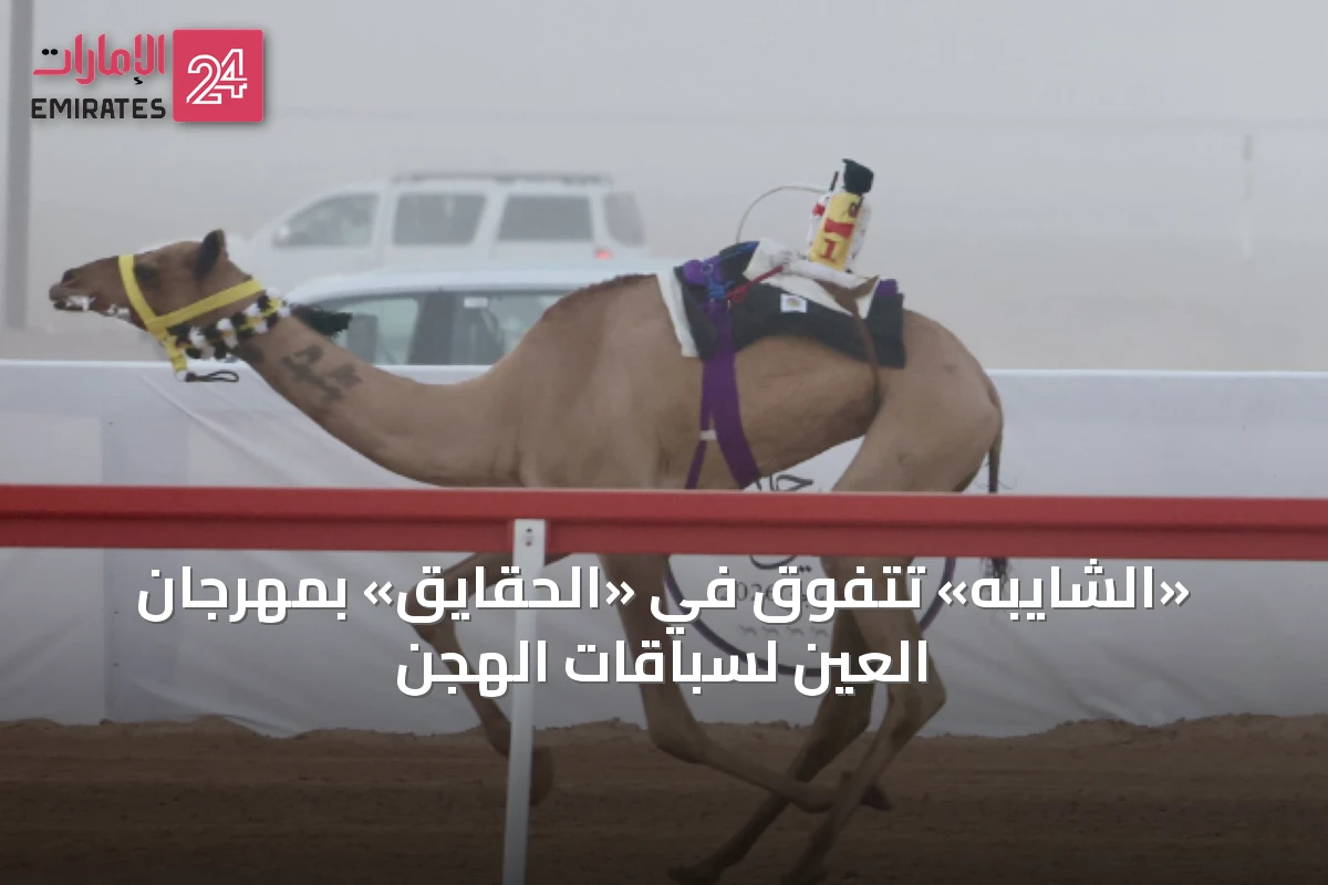«الشايبه» تتفوق في «الحقايق» بمهرجان العين لسباقات الهجن