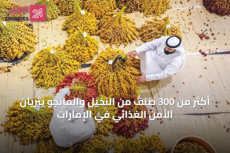 أكثر من 300 صنف من النخيل والمانجو يثريان الأمن الغذائي في الإمارات