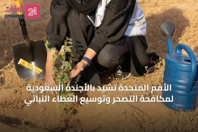 الأمم المتحدة تشيد بالأجندة السعودية لمكافحة التصحر وتوسيع الغطاء النباتي