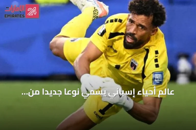 عالم أحياء إسباني يسمي نوعاً جديداً من الحلزون تكريماً لحارس مرمى الرأس الأخضر