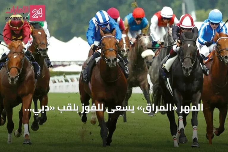 المهر «المُراق» يسعى للفوز بلقب «دبي جولاي كب» في نيوماركت
