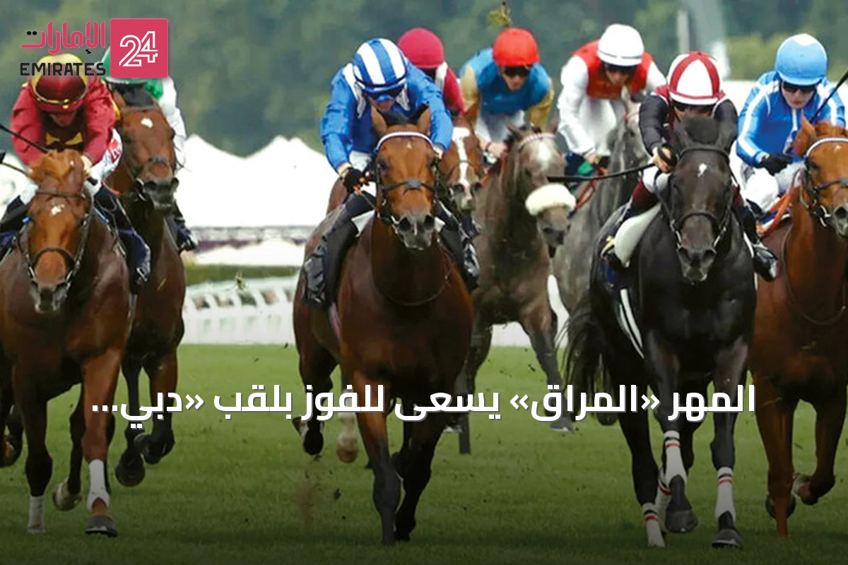 المهر «المُراق» يسعى للفوز بلقب «دبي جولاي كب» في نيوماركت