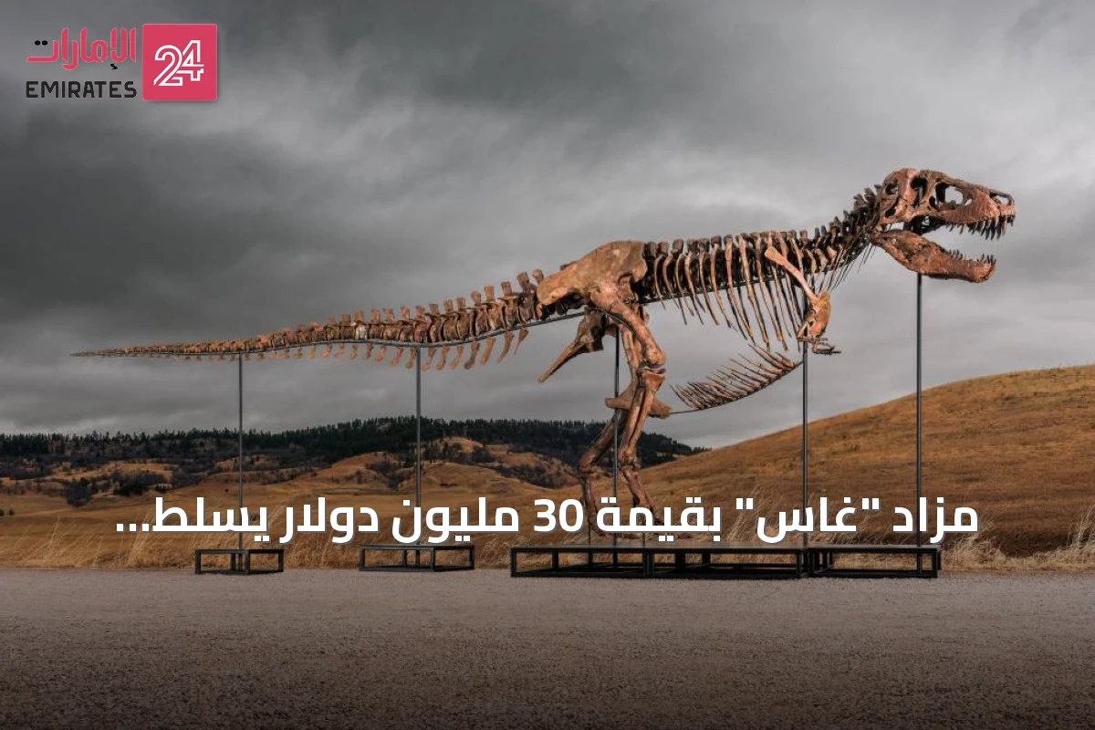 مزاد "غاس" بقيمة 30 مليون دولار يسلط الضوء على تحول الحفريات إلى أصول استثمارية