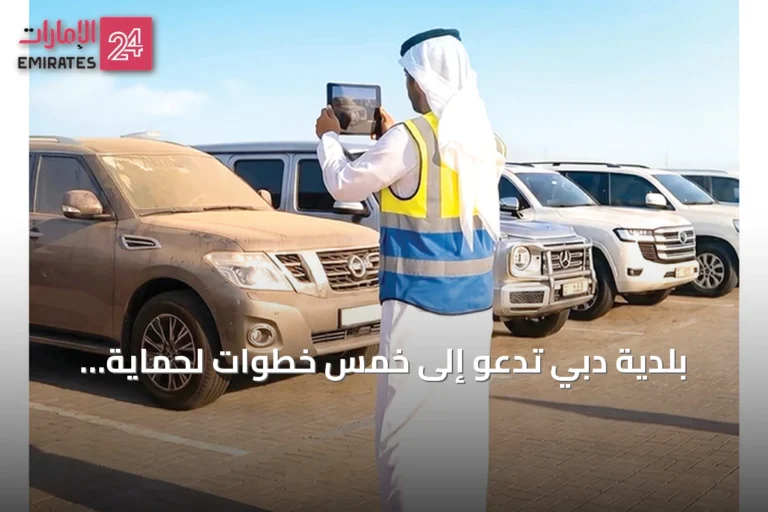 بلدية دبي تدعو إلى خمس خطوات لحماية السيارات قبل السفر وتطرح سبع نصائح للسلامة في المسابح