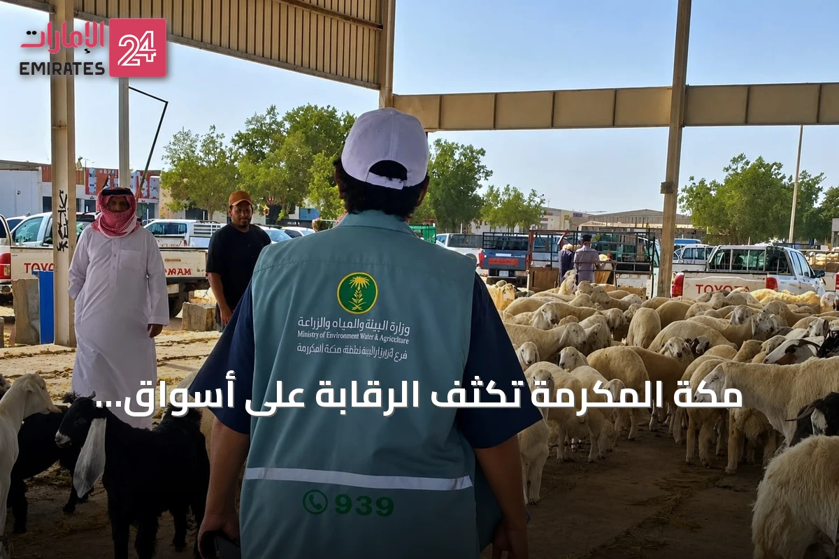 مكة المكرمة تُكثّف الرقابة على أسواق الماشية لحماية المستهلك وتعزيز الأمن الغذائي