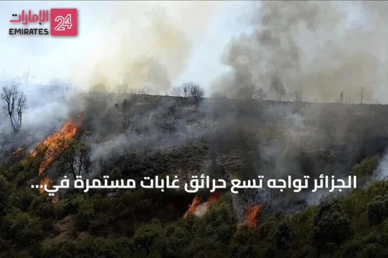 الجزائر تواجه تسع حرائق غابات مستمرة في سبع ولايات مع تصاعد موجة الحر