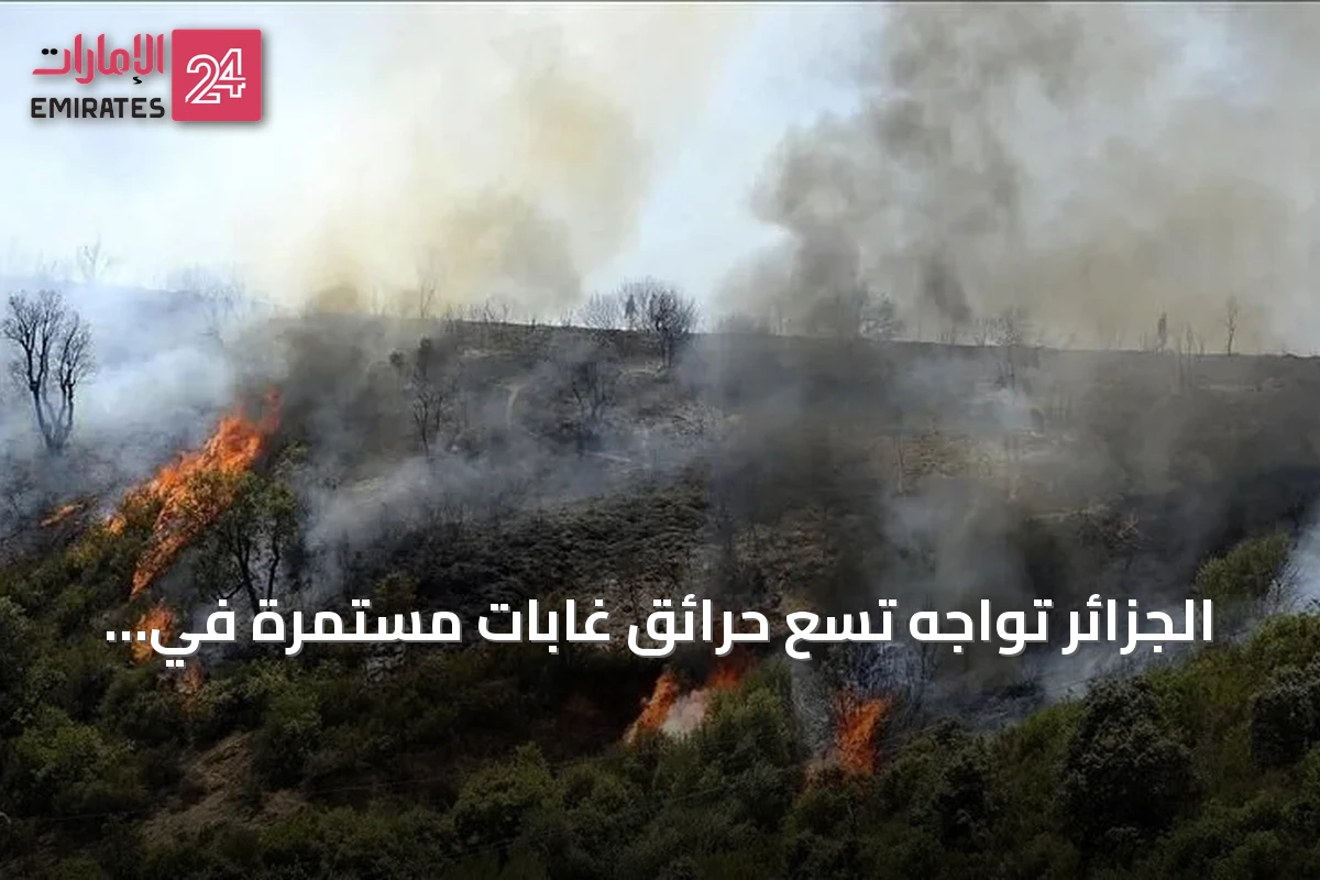 الجزائر تواجه تسع حرائق غابات مستمرة في سبع ولايات مع تصاعد موجة الحر
