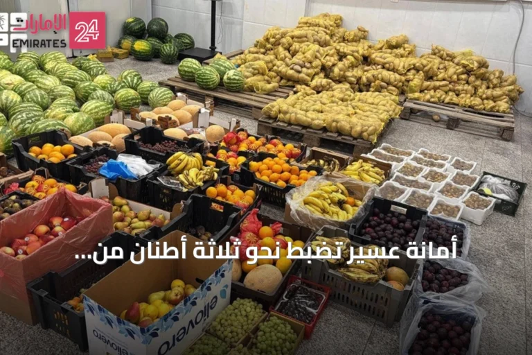 أمانة عسير تضبط نحو ثلاثة أطنان من الفواكه والخضار غير المرخصة وتوجهها للجمعيات الخيرية