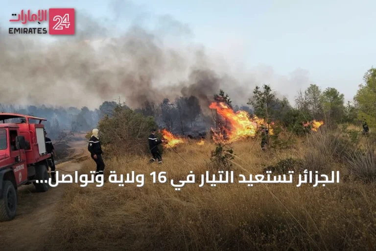 الجزائر تستعيد التيار في 16 ولاية وتواصل مكافحة 19 حريقًا amid موجة حر شديدة