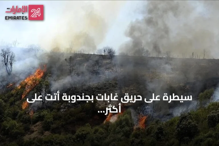 سيطرة على حريق غابات بجندوبة أتت على أكثر من 30 هكتارا