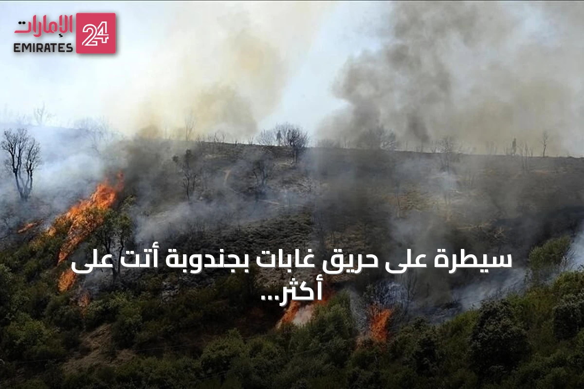 سيطرة على حريق غابات بجندوبة أتت على أكثر من 30 هكتارا