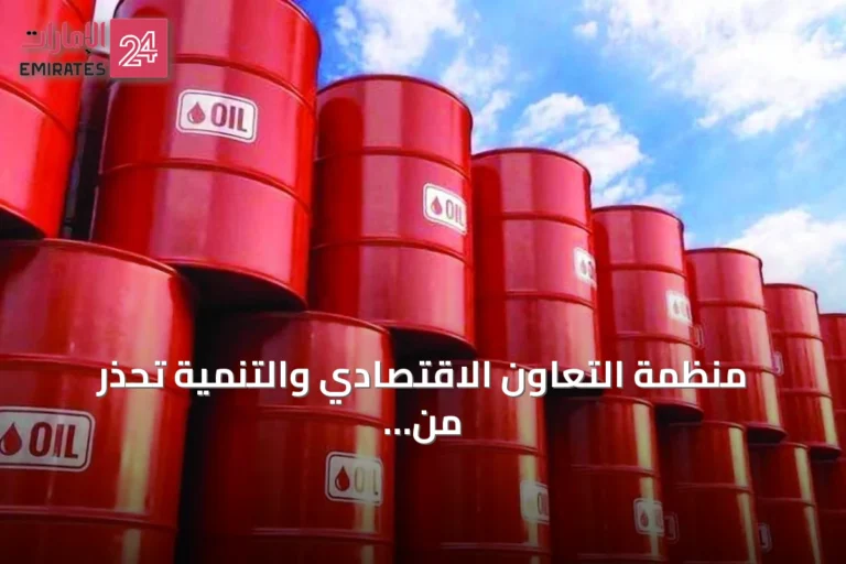 منظمة التعاون الاقتصادي والتنمية تحذر من تأثير تجدد أسعار الطاقة على الاقتصاد البريطاني