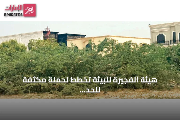 هيئة الفجيرة للبيئة تخطط لحملة مكثفة للحد من انتشار شجرة الغويف في الأحياء السكنية