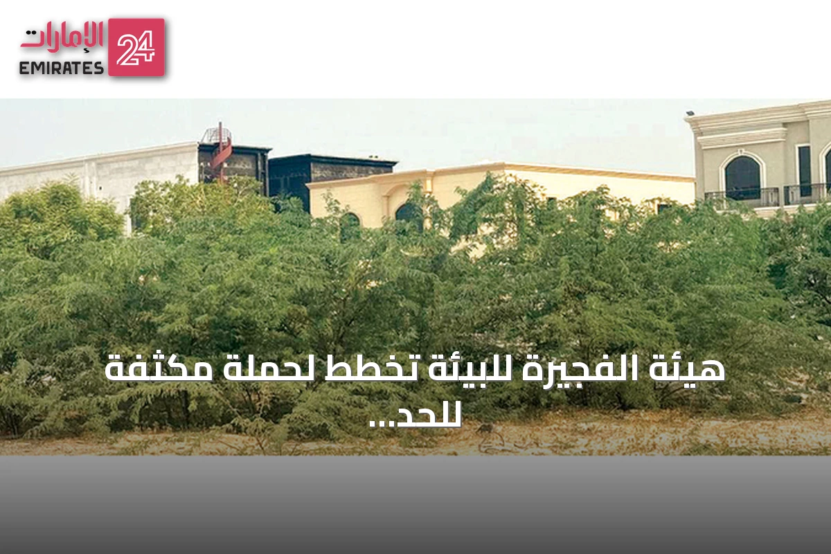 هيئة الفجيرة للبيئة تخطط لحملة مكثفة للحد من انتشار شجرة الغويف في الأحياء السكنية