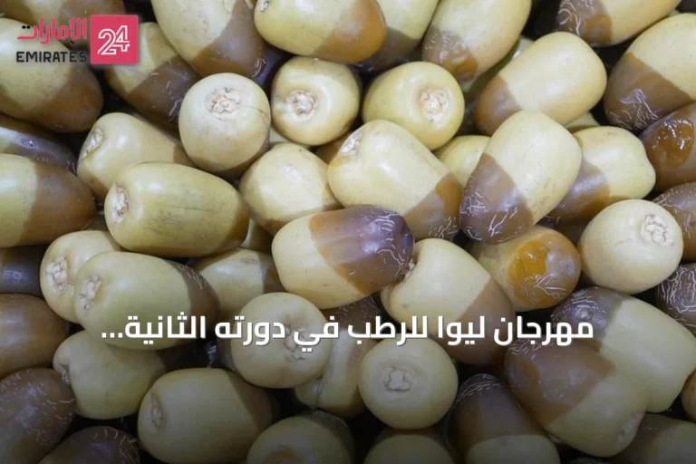 مهرجان ليوا للرطب في دورته الثانية والعشرين: 16 مسابقة للاحتفاء بالنخلة