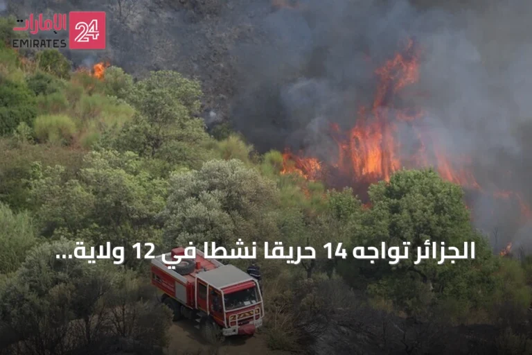 الجزائر تواجه 14 حريقًا نشطًا في 12 ولاية مع حرارة تقترب من 48 درجة