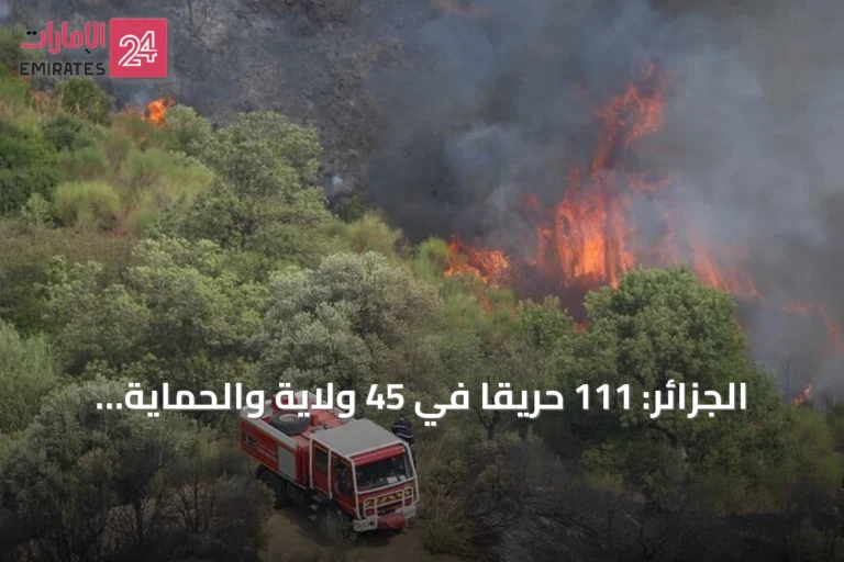 الجزائر: 111 حريقاً في 45 ولاية والحماية المدنية تستنفر كافة أعوانها