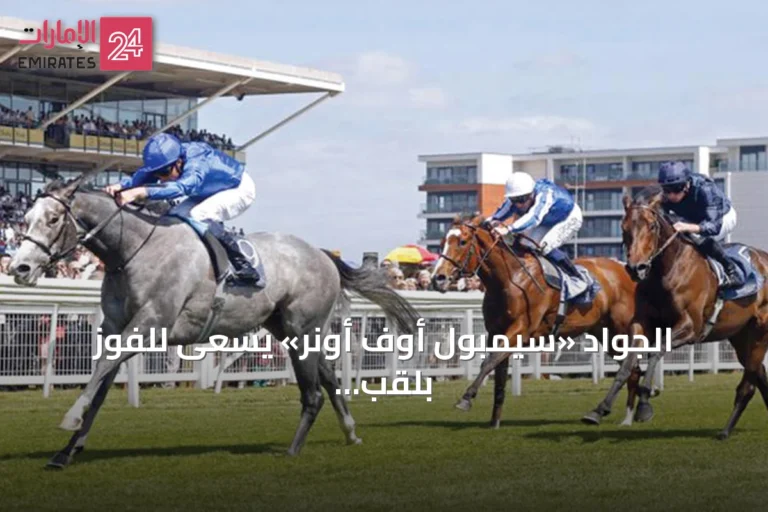 الجواد «سيمبول أوف أونر» يسعى للفوز بلقب «هاكوود ستيكس»