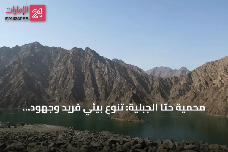 محمية حتا الجبلية: تنوع بيئي فريد وجهود مستدامة لحماية البيئة في دبي