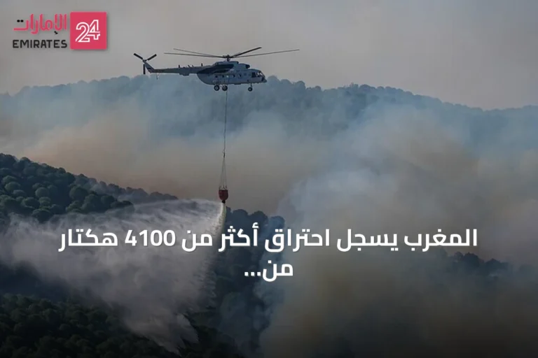 المغرب يسجل احتراق أكثر من 4100 هكتار من الغابات منذ بداية 2026