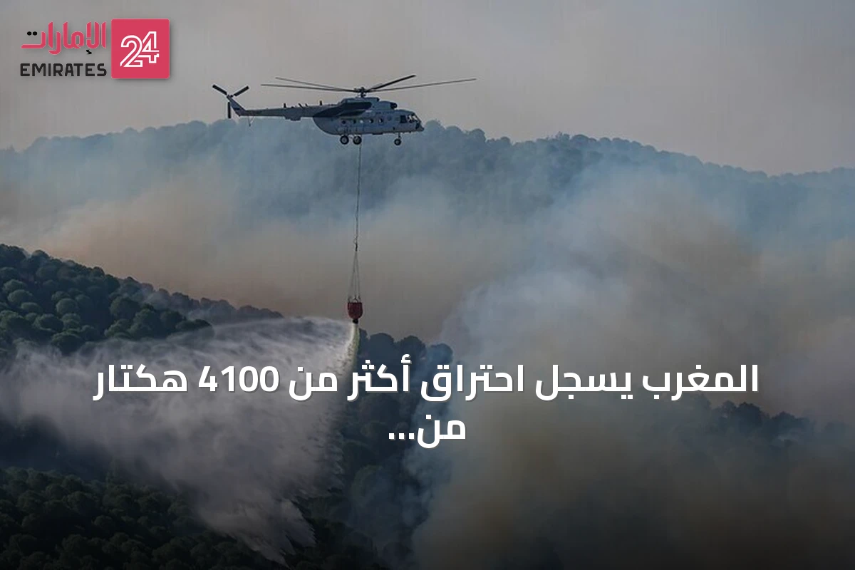 المغرب يسجل احتراق أكثر من 4100 هكتار من الغابات منذ بداية 2026