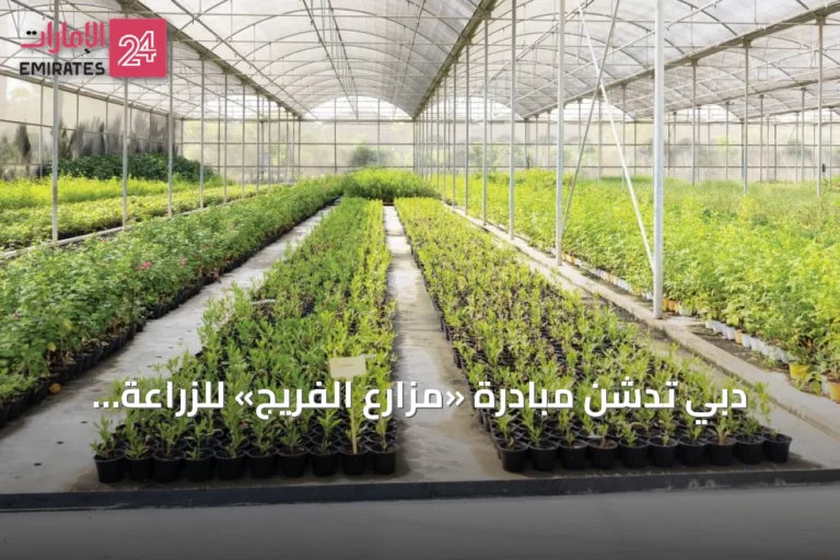 دبي تدشن مبادرة «مُزارع الفريج» للزراعة المنزلية عبر تطبيق كريم