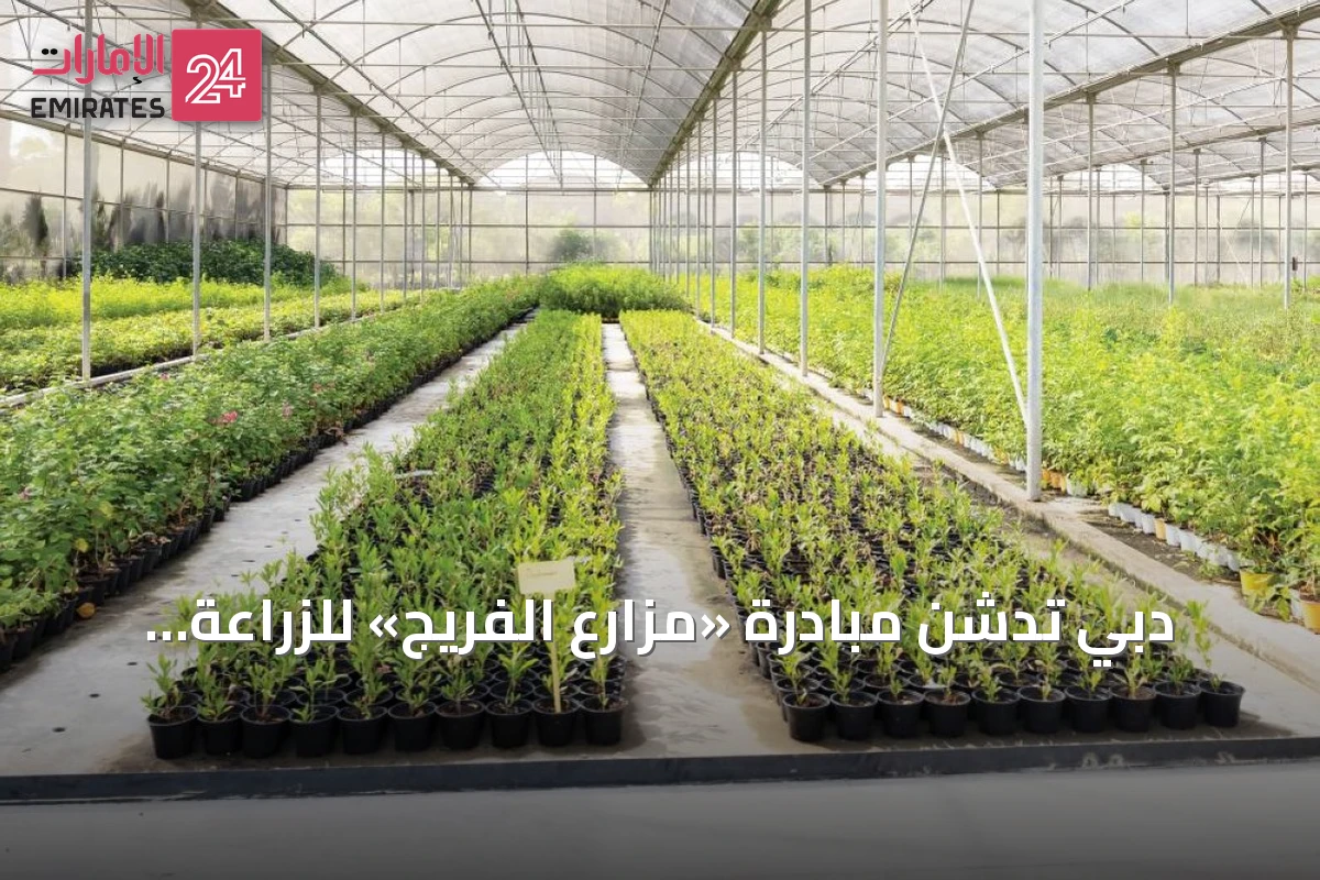 دبي تدشن مبادرة «مُزارع الفريج» للزراعة المنزلية عبر تطبيق كريم