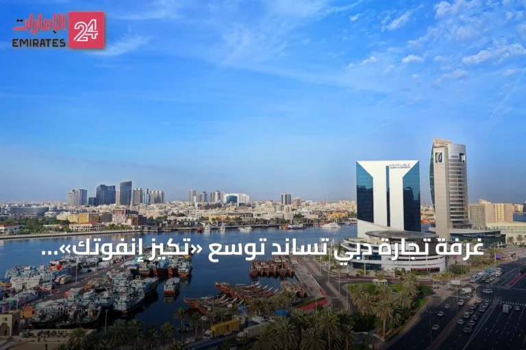 غرفة تجارة دبي تساند توسع «تكيز إنفوتك» إلى أسواق جنوب إفريقيا