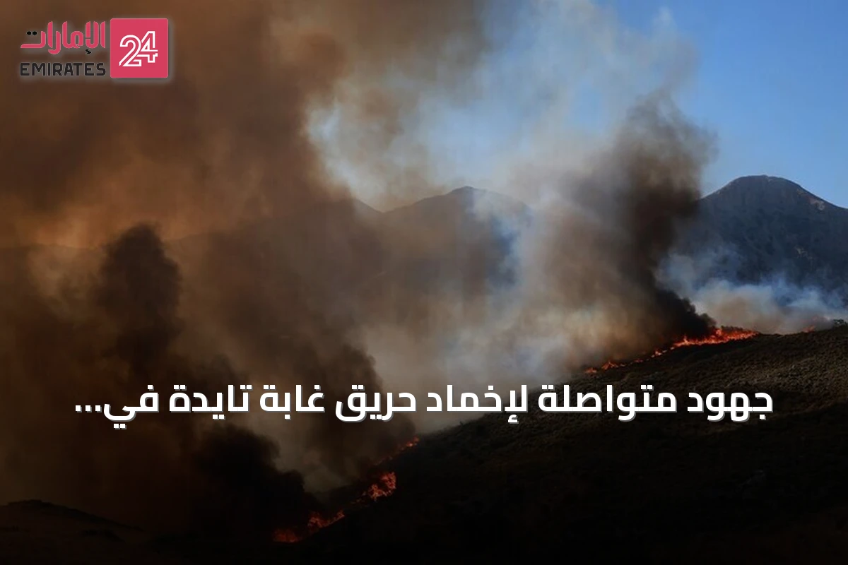 جهود متواصلة لإخماد حريق غابة تايدة في إقليم صفرو المغربي بعد التهام 120 هكتارًا